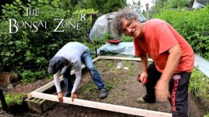 Working on the Glass Greenhouse with Xin, The Bonsai Zone, Aug 2021