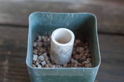 Cylinder resting on bonsai soil