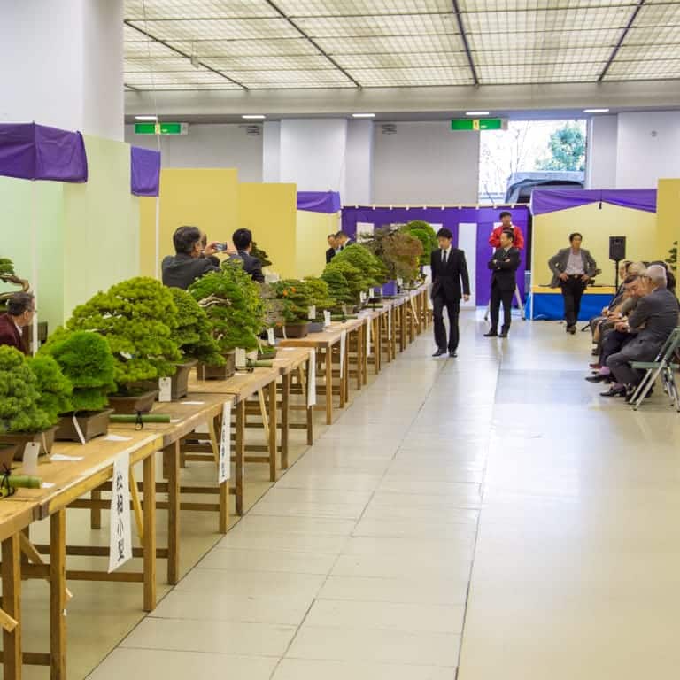 Judges at the 2015 Taikan-ten