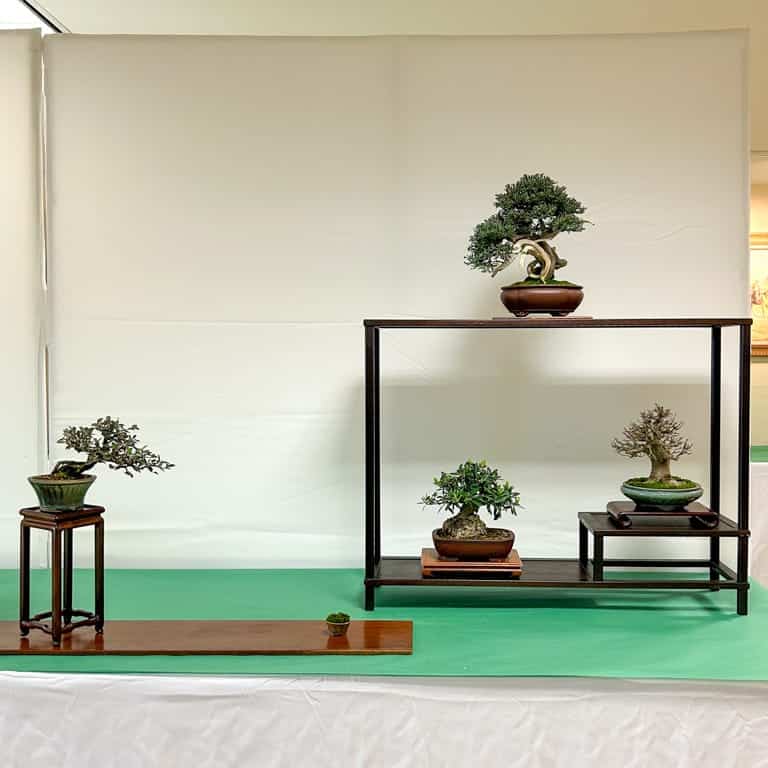 Four-tree display