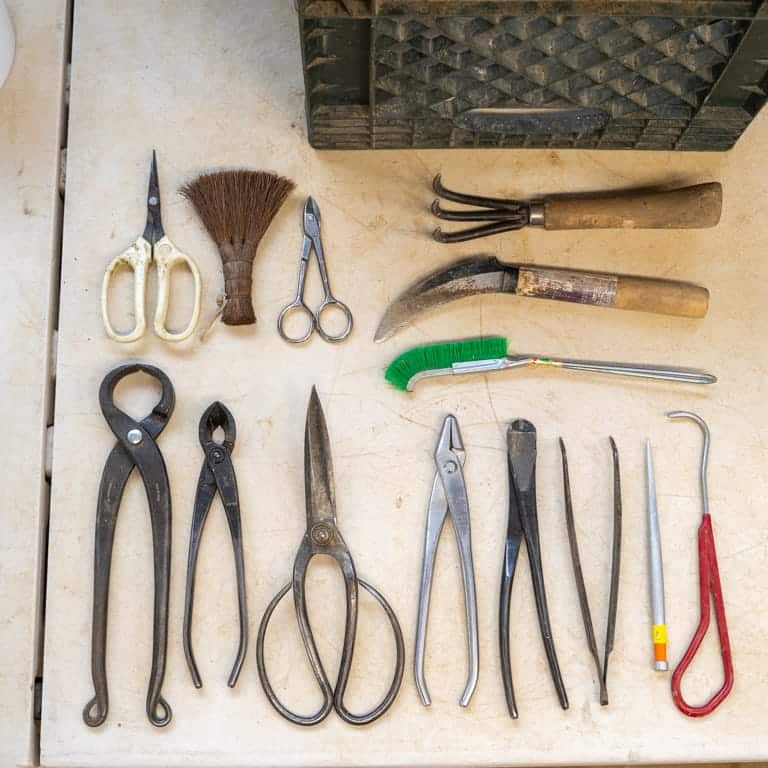 Repotting tools