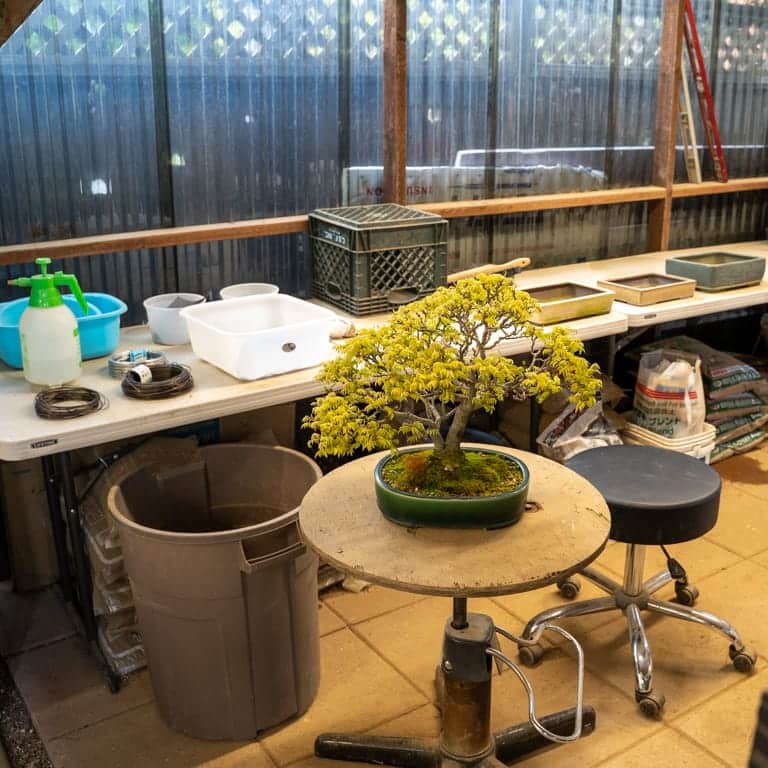 Repotting workstation