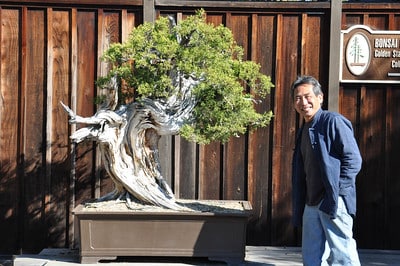 Tim and dapper California juniper